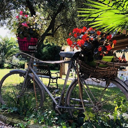 Villa Berghella Montesilvano Marina Buitenkant foto